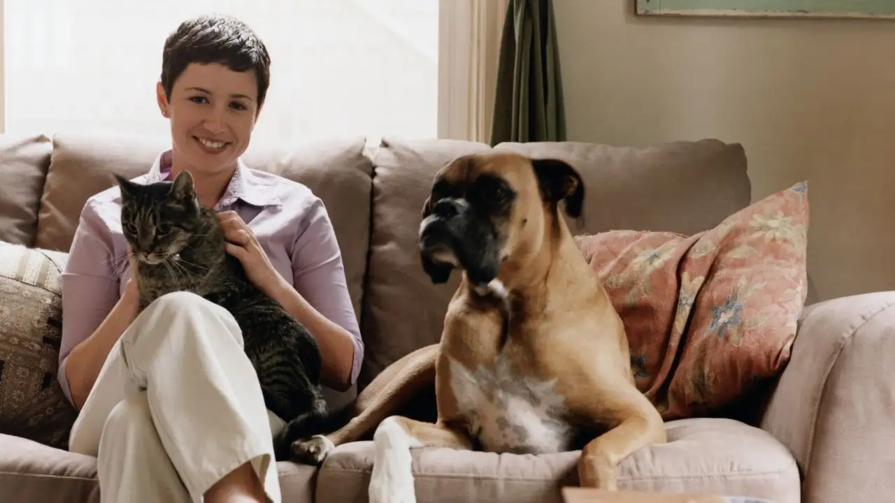 Young Woman Sitting on Couch with Dog and Cat 