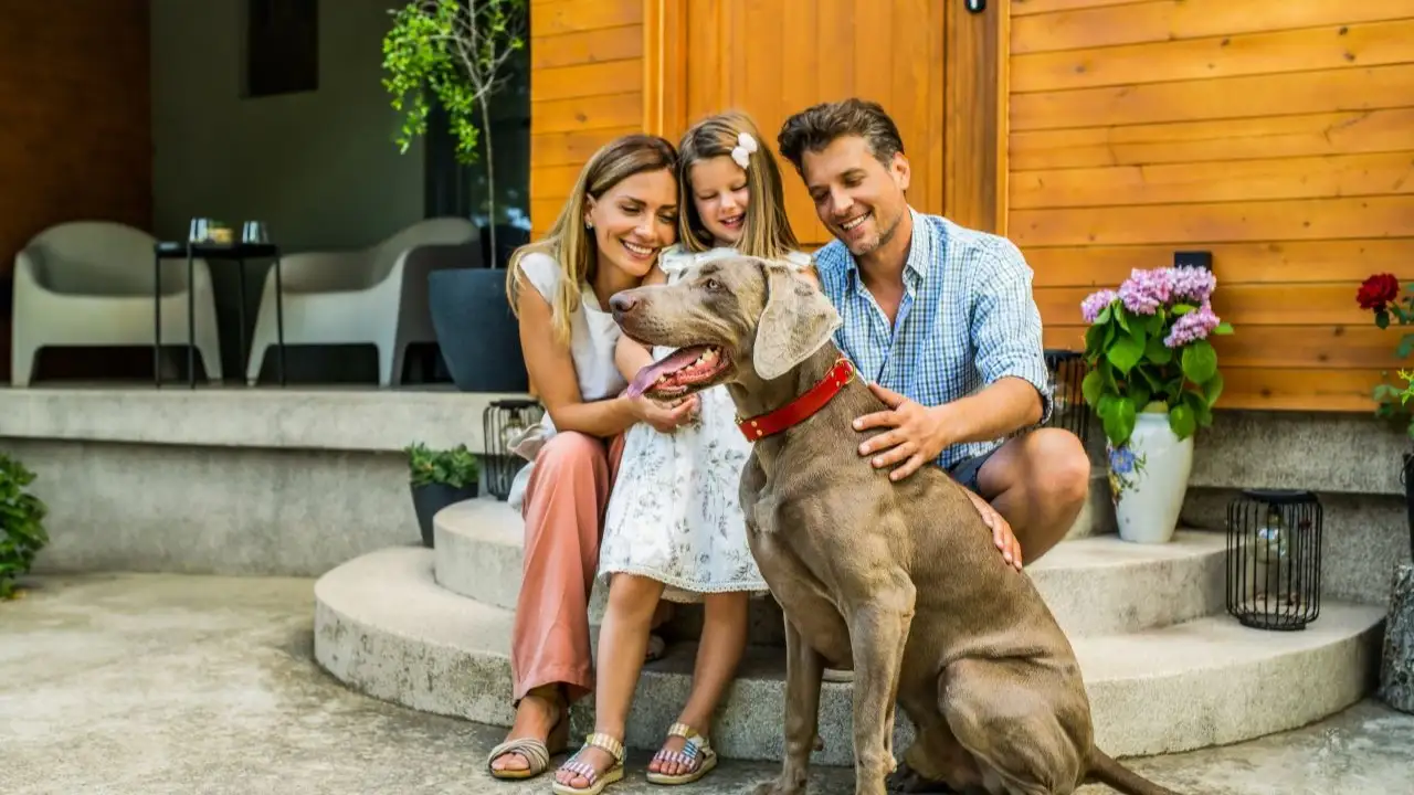 family in front yard with dog. planning big things